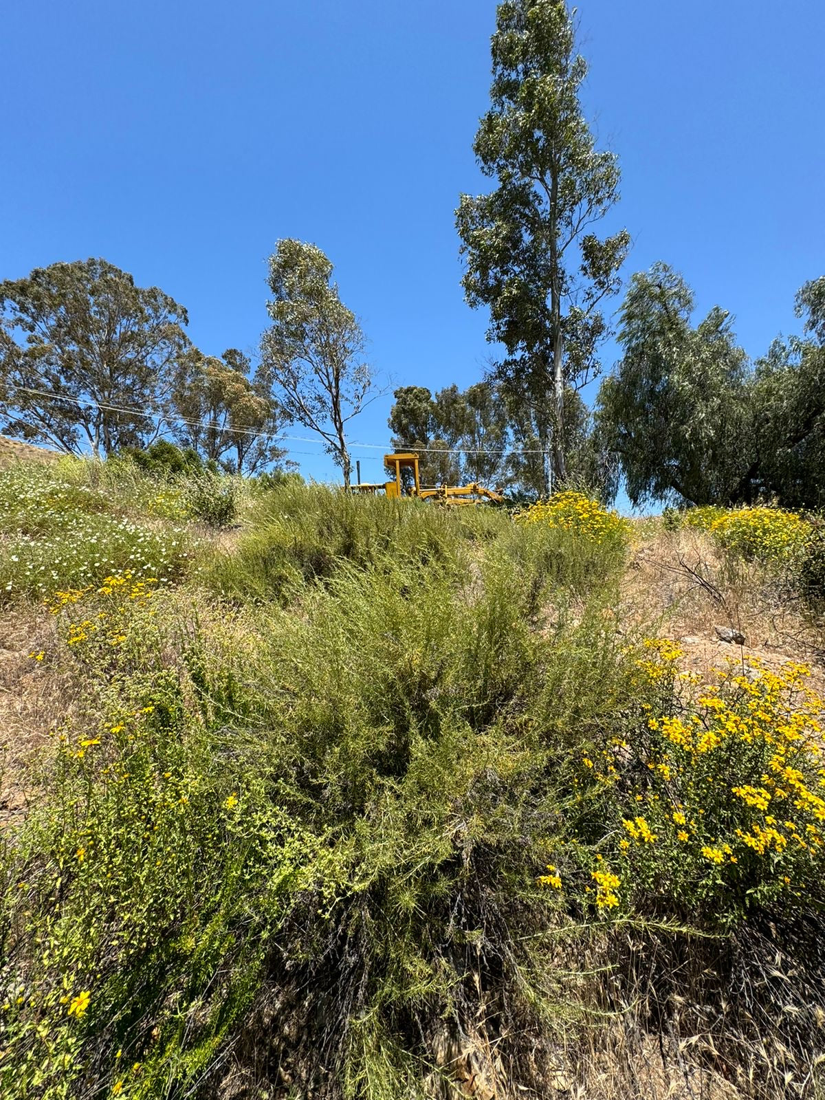 TERRENOS ENCANTO DEL VALLE, ENSENADA