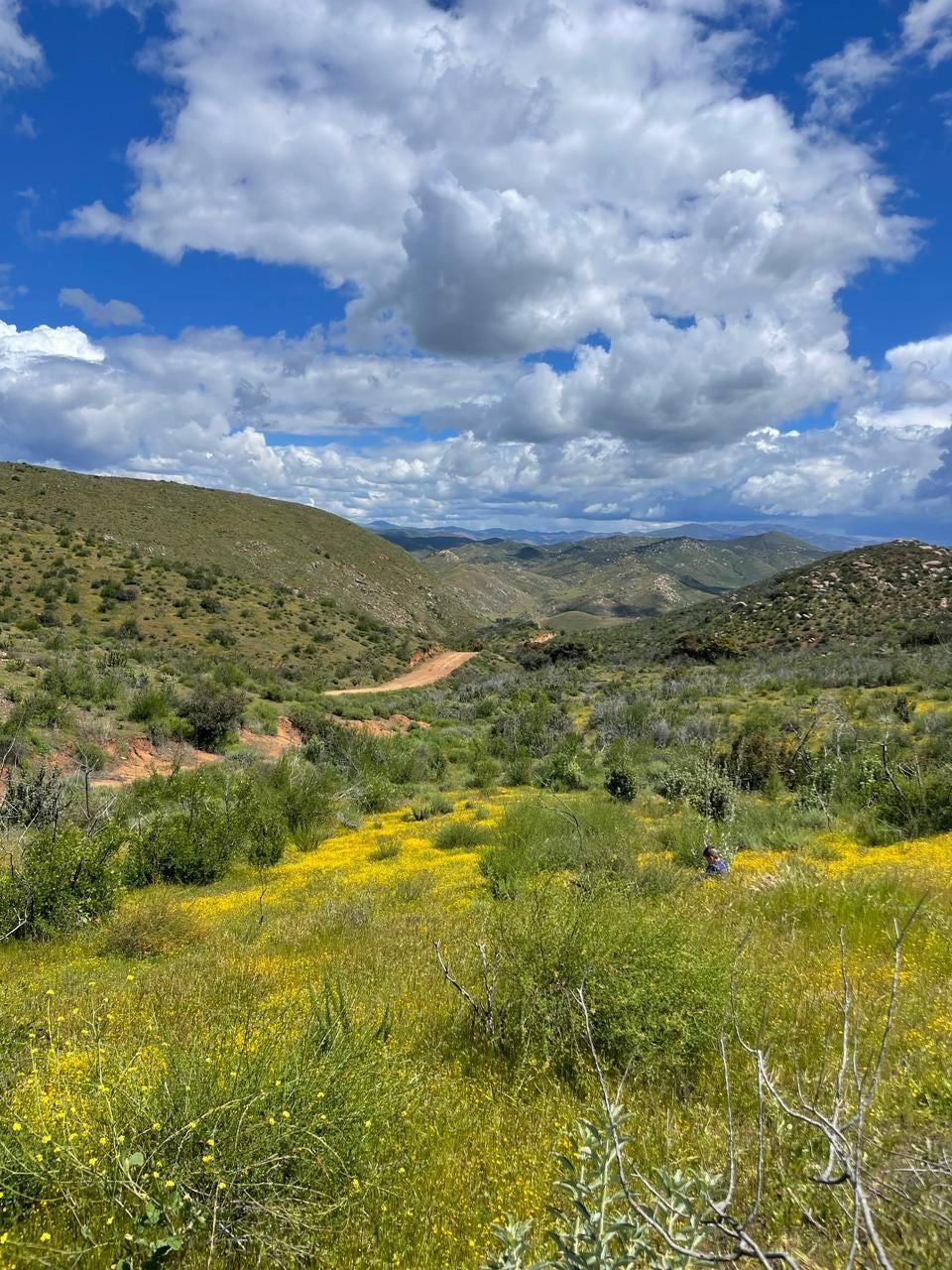 TERRENOS ENCANTO DEL VALLE, ENSENADA