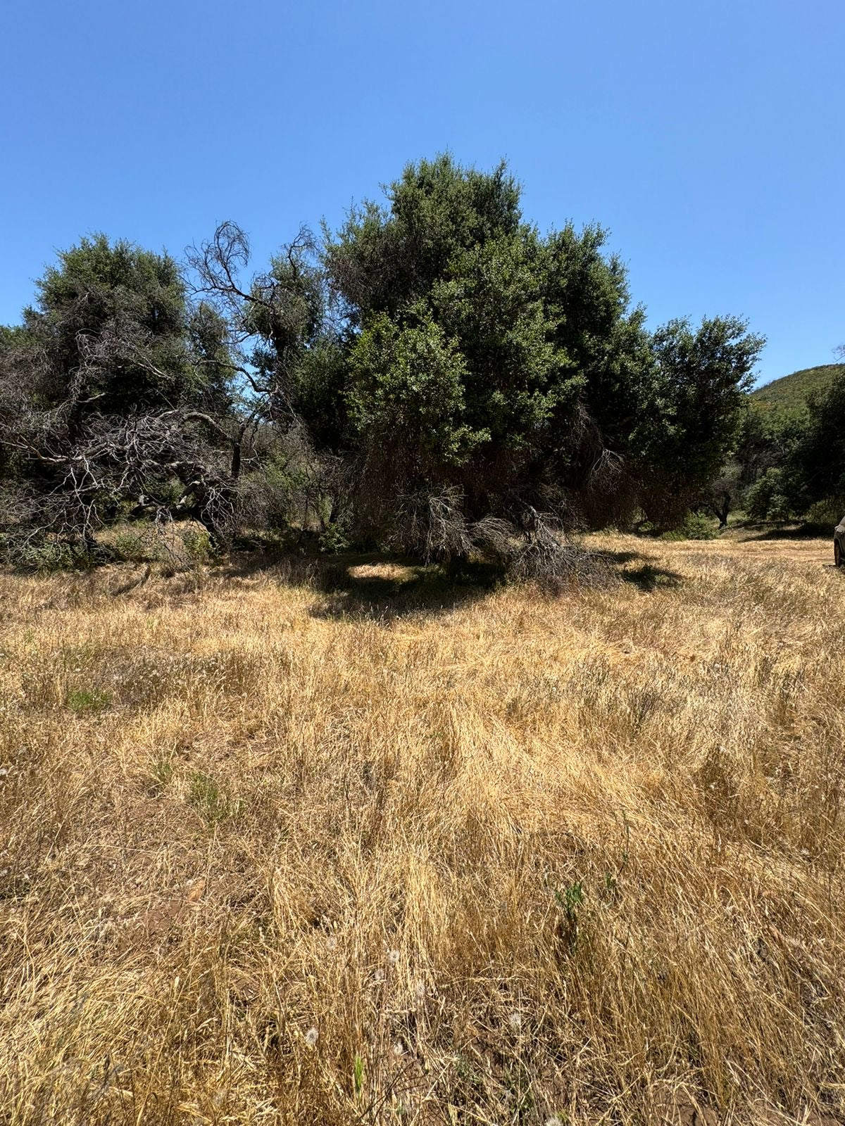 TERRENOS ENCANTO DEL VALLE, ENSENADA