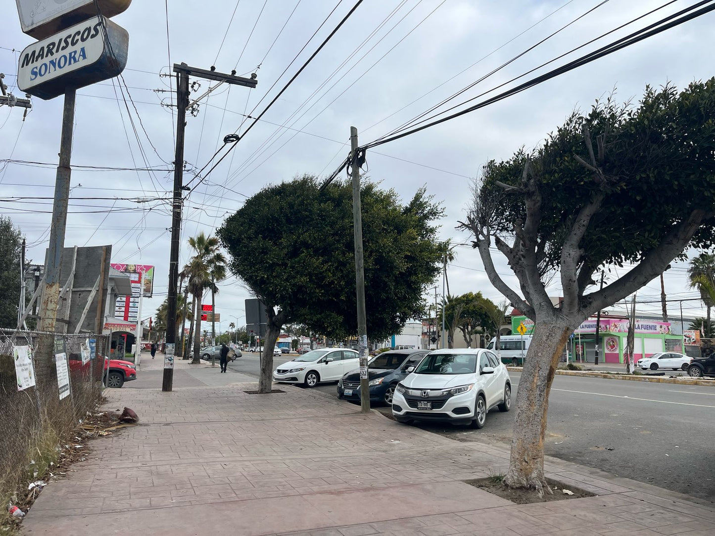 TERRENO BLVD. BENITO JUÁREZ, ROSARITO